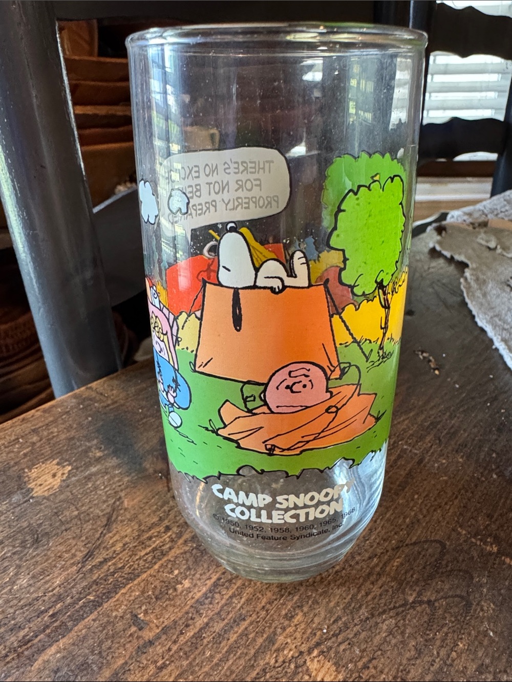 Vintage Camp Snoopy Collection Snoopy & Woodstock Glass